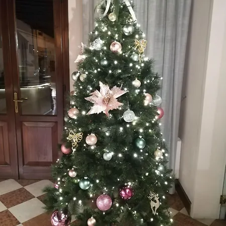 Scala Hotel 3*
